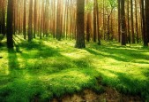 世界保龄球职业联赛季终技术统计白皮书发布，世界保龄球大赛